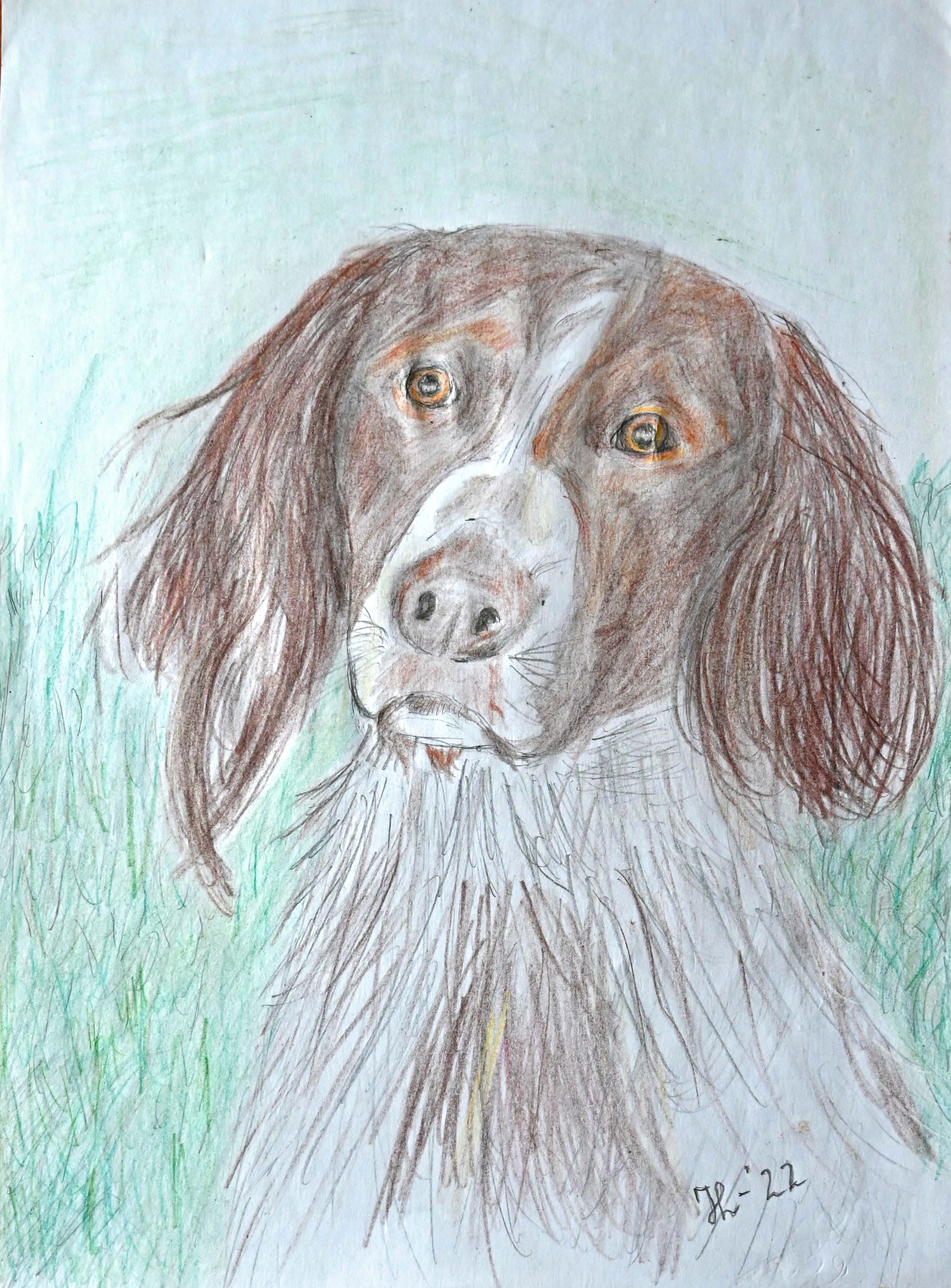 DSC_0645_Hondje.jpg