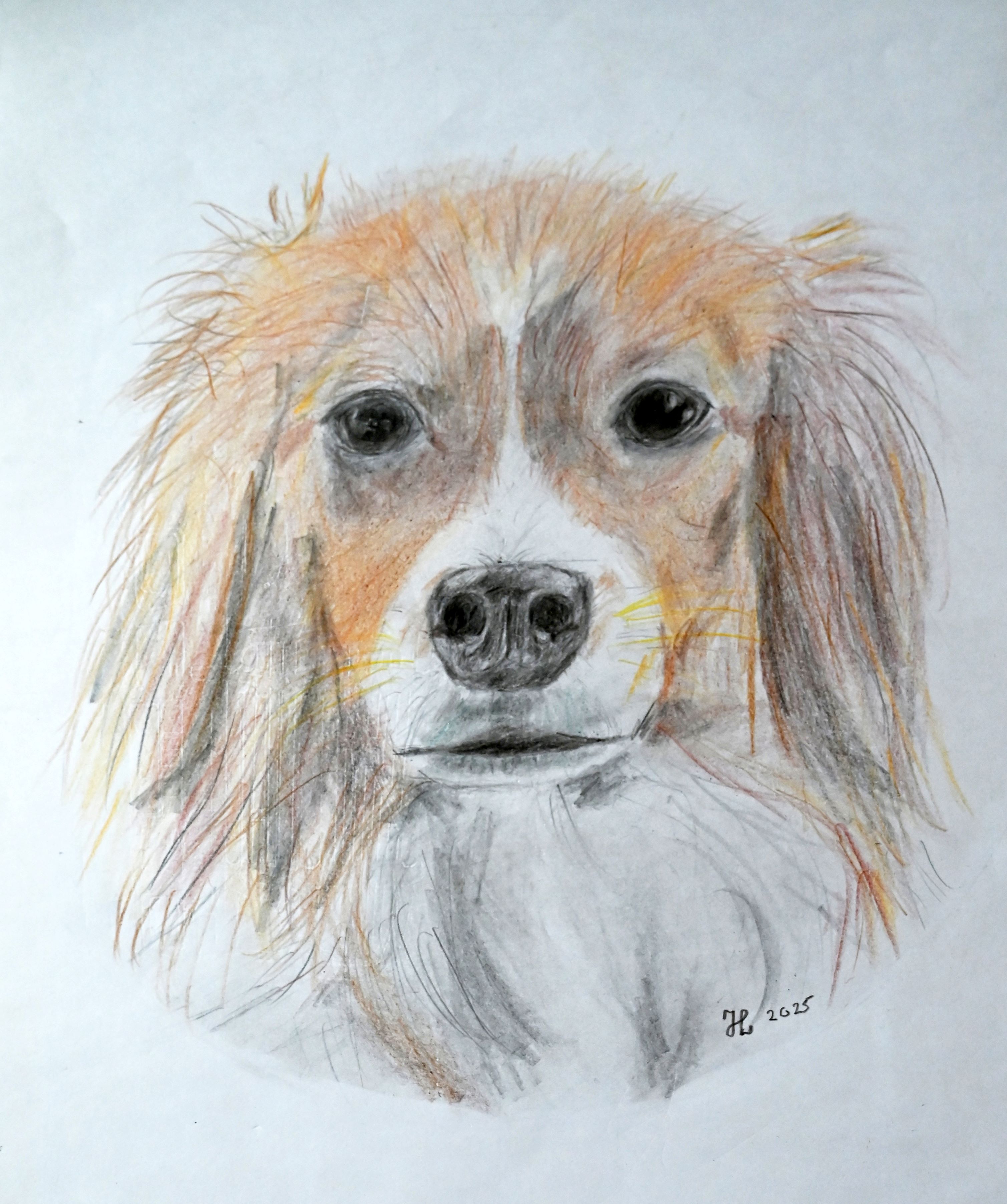 DSC_0648_Hondje.jpg