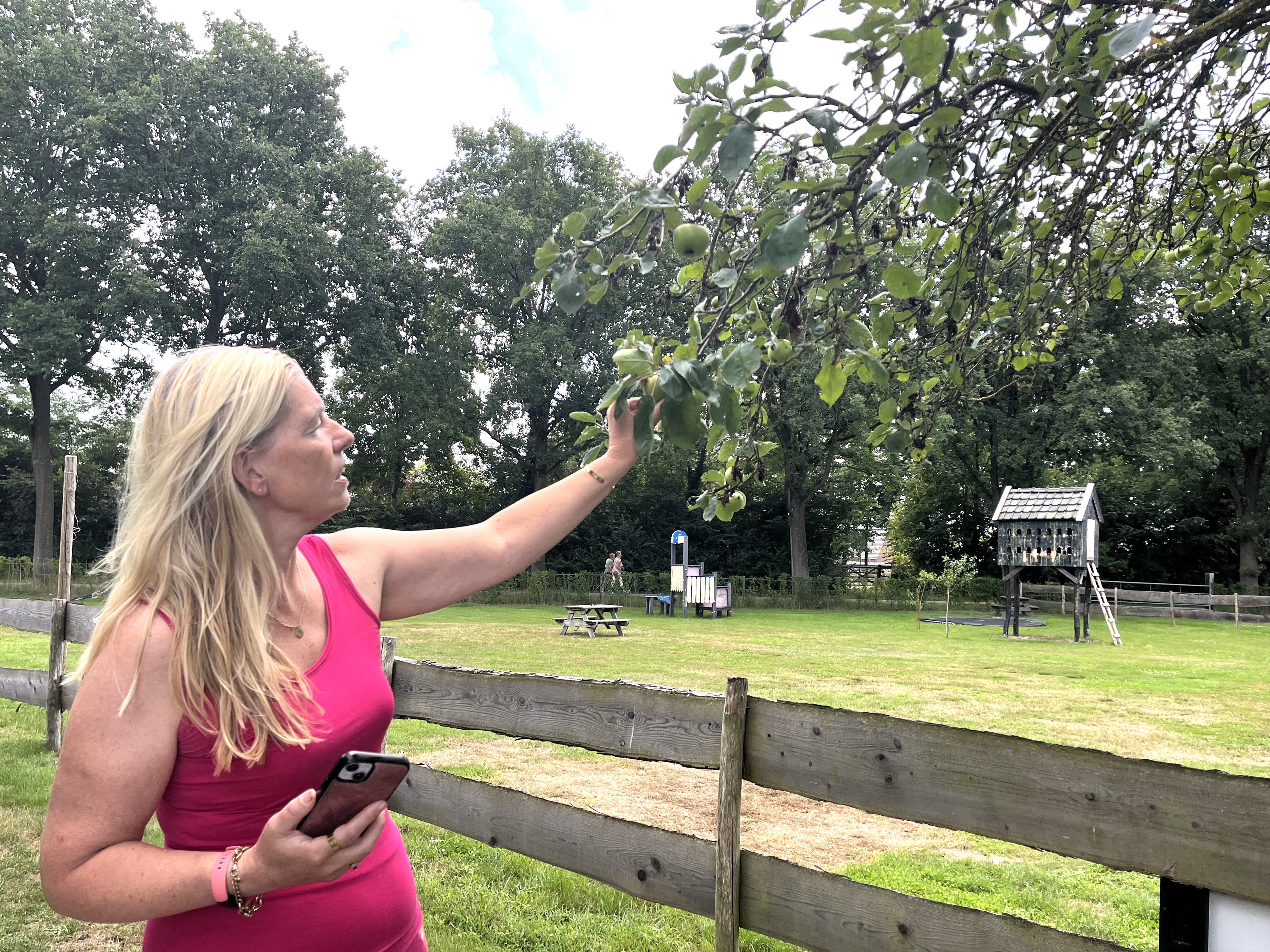 foto 4 Yvonne_duiventilveldje.jpg