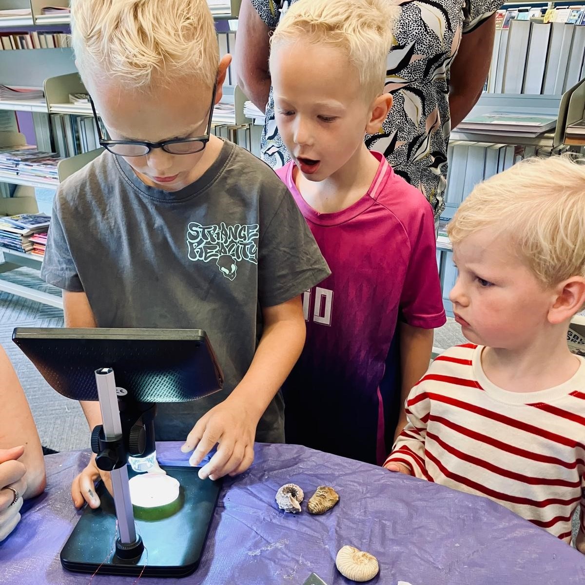 dino bieb 2025 4.jpg