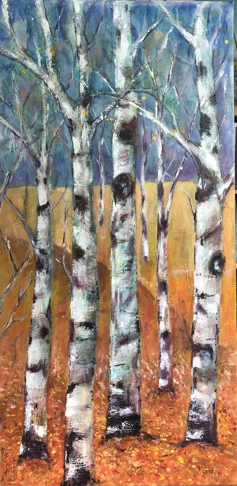 mm berken.jpg mm berken.jpg