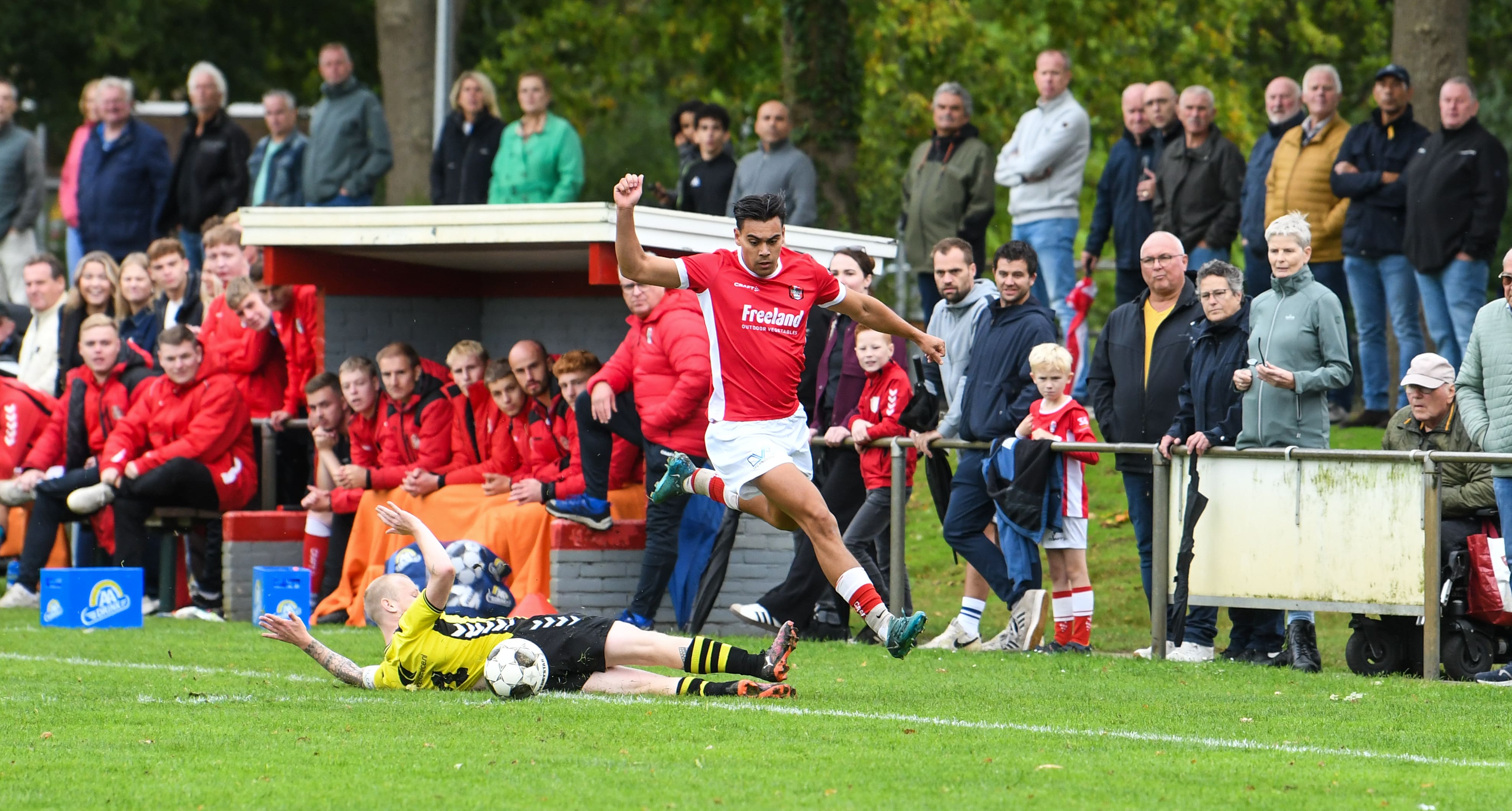 DSC_6054-min.jpg DSC_6054-min.jpg