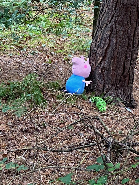 IMG_1308.jpeg IMG_1308.jpeg