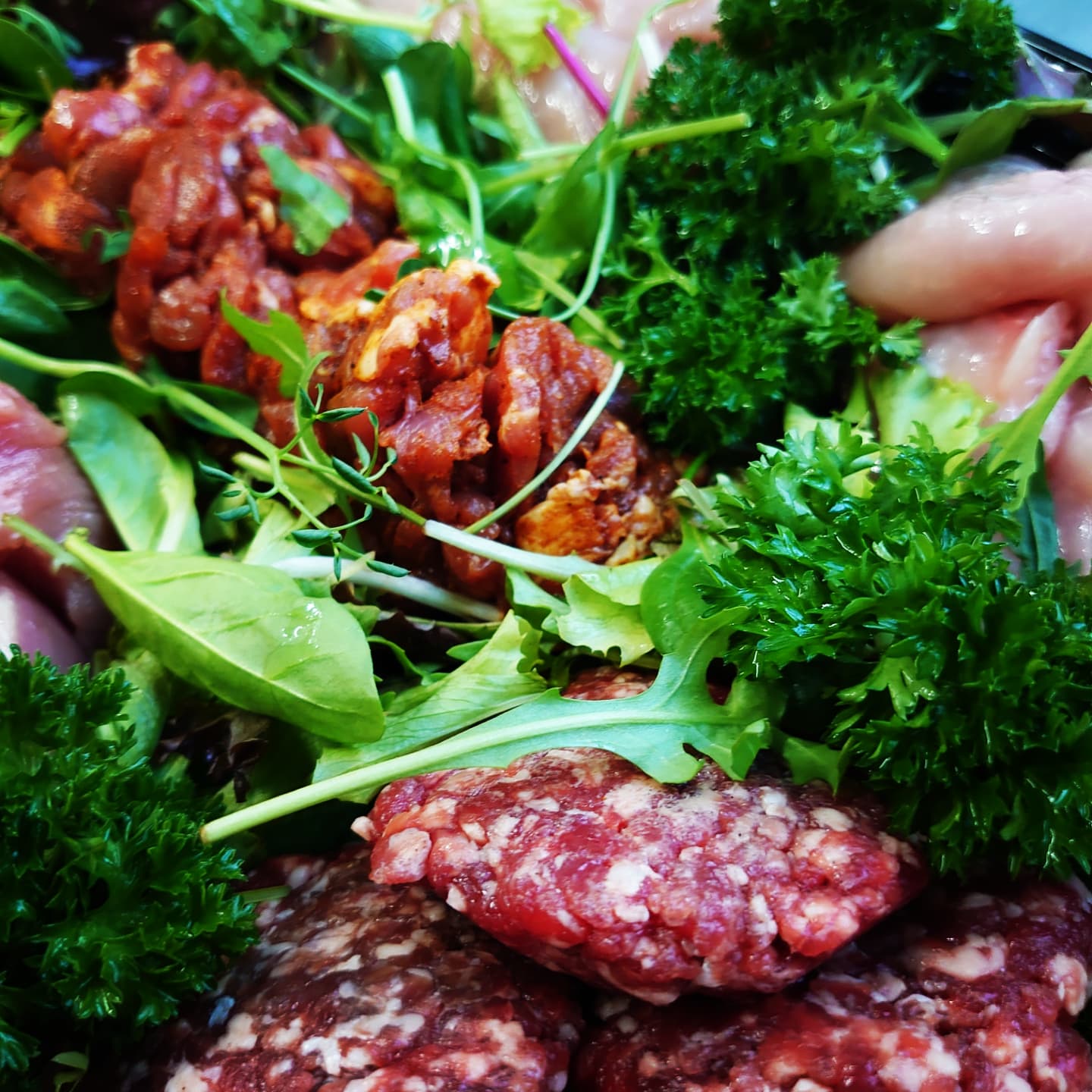 WhatsApp Image 2025-11-06 at 21.56.12.jpeg