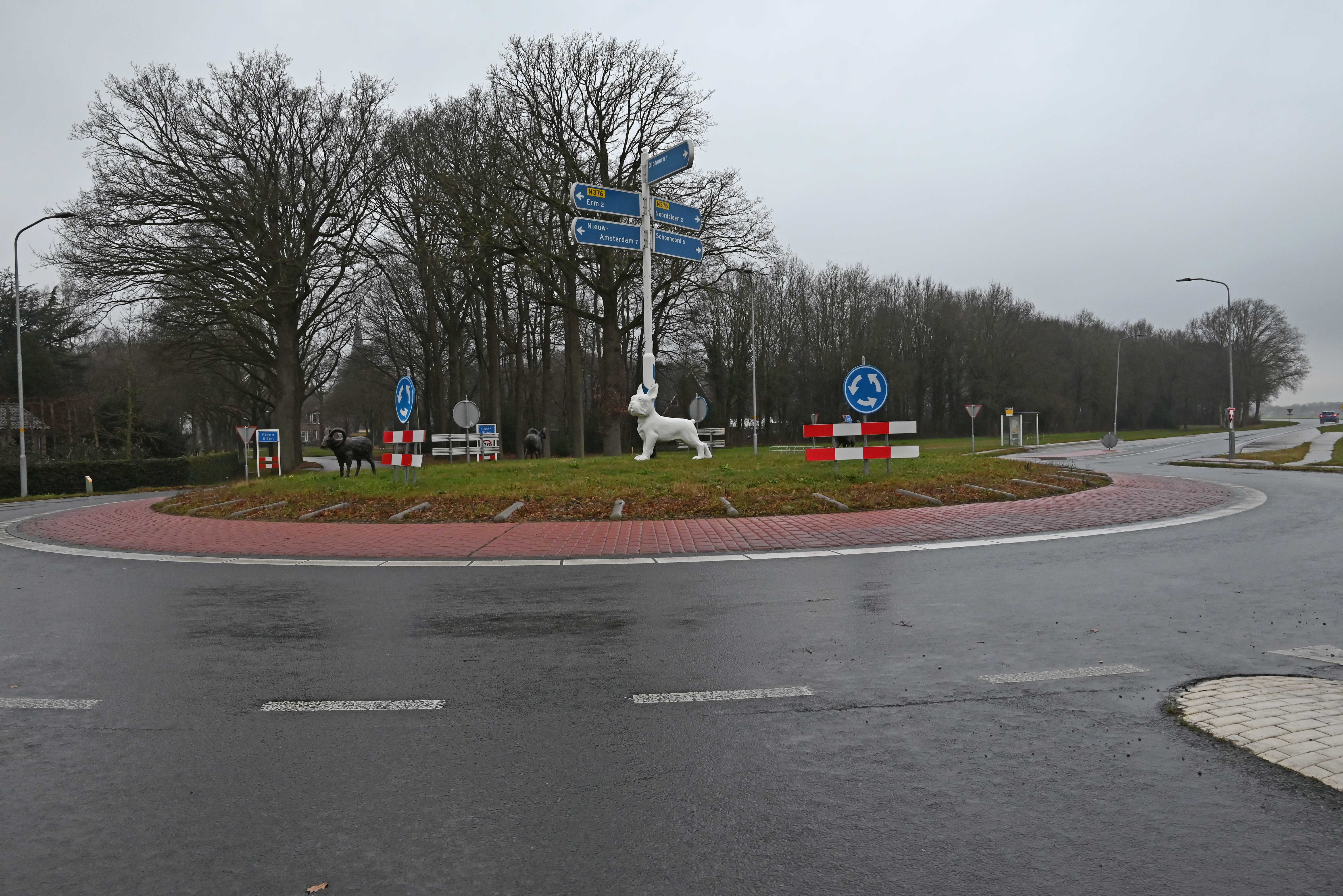 DSC_2318_Hond.jpg DSC_2318_Hond.jpg