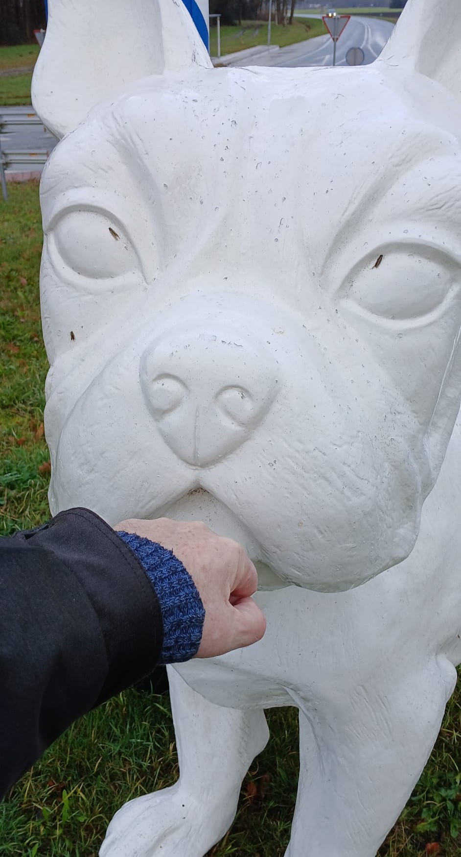 Hond 2.jpg Hond 2.jpg