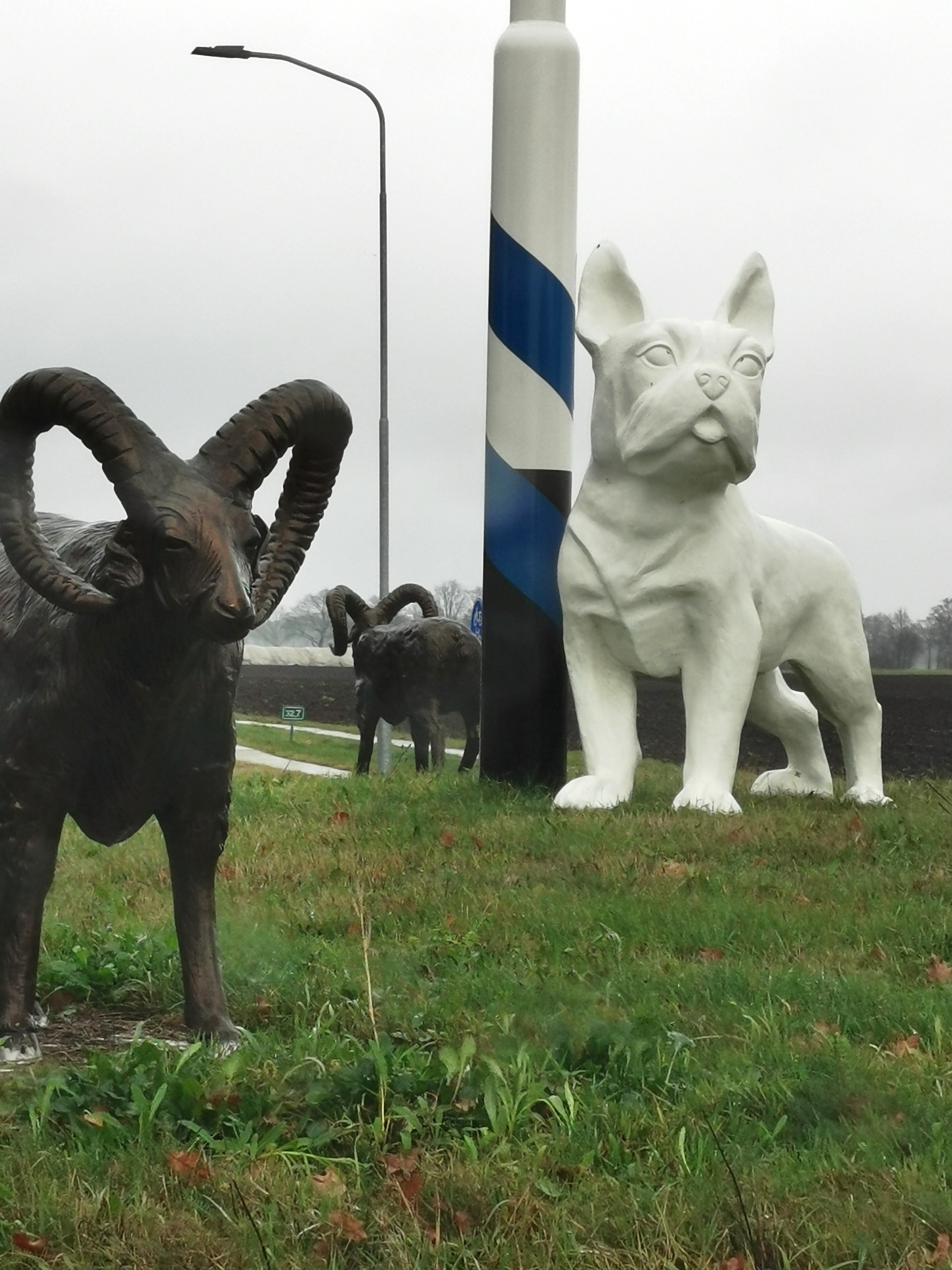 Melanie Oostwoud.jpg