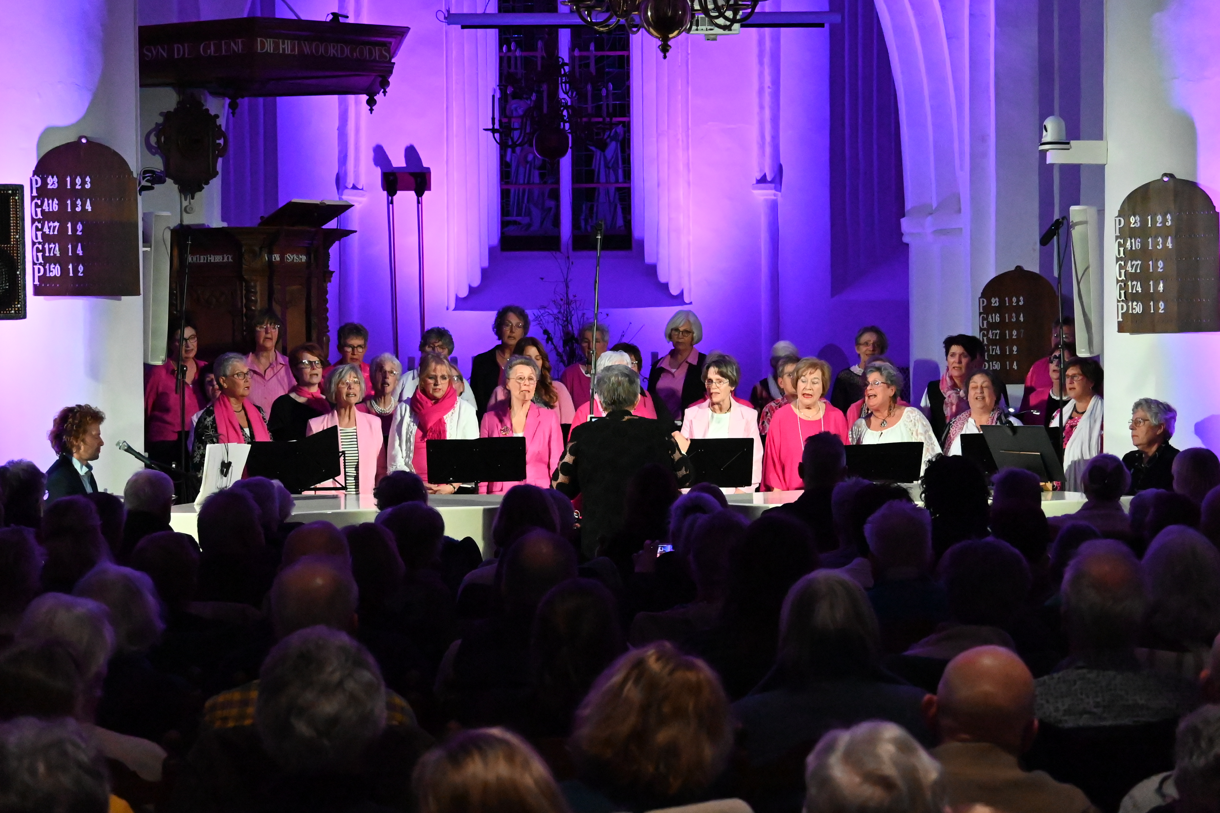 Foto3 Overzicht veraf.JPG